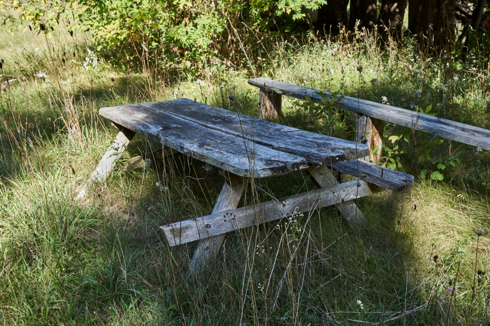 Boyne River Natural Science School